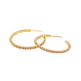 Scout Sparkle & Shine Collection Small Hoop | Champagne/Gold | $22