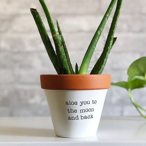 Rally & Roots Planter | Aloe You to the Moon and Back | Home & Gifts | $30