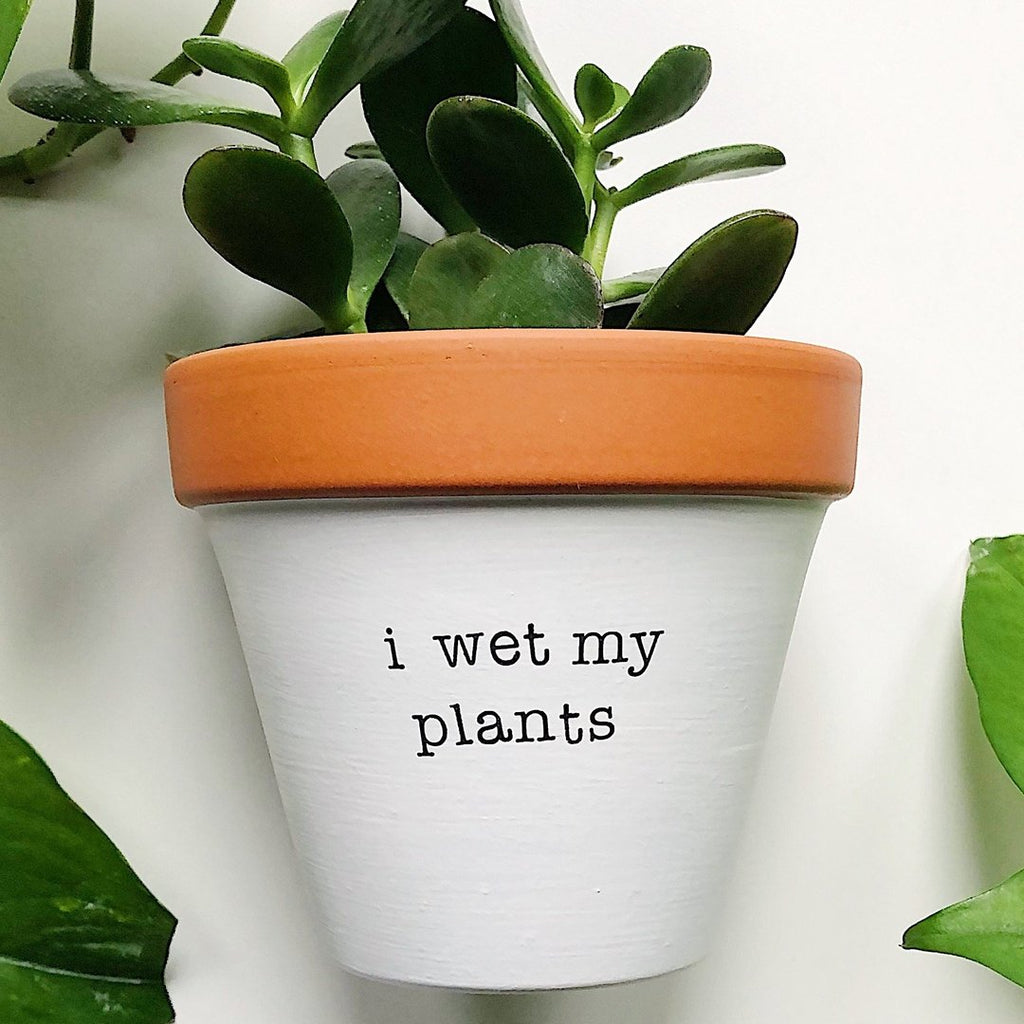 Rally & Roots Planter, I Wet My Plants