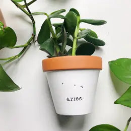 Rally & Roots Zodiac Planter | Aries | Home & Gifts | $30