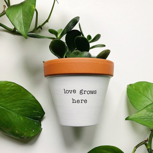 Rally & Roots Planter | Love Grows Here | $19.99
