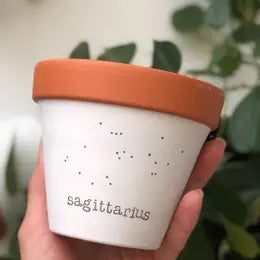 Rally & Roots Zodiac Planter | Sagittarius  | Home & Gifts | $30